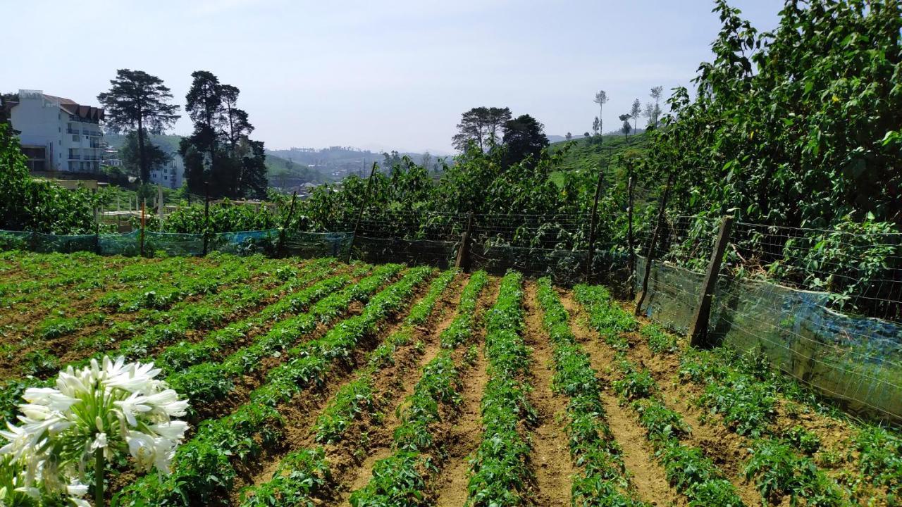 Affittacamere Shirin1892 Nuwara Eliya Esterno foto